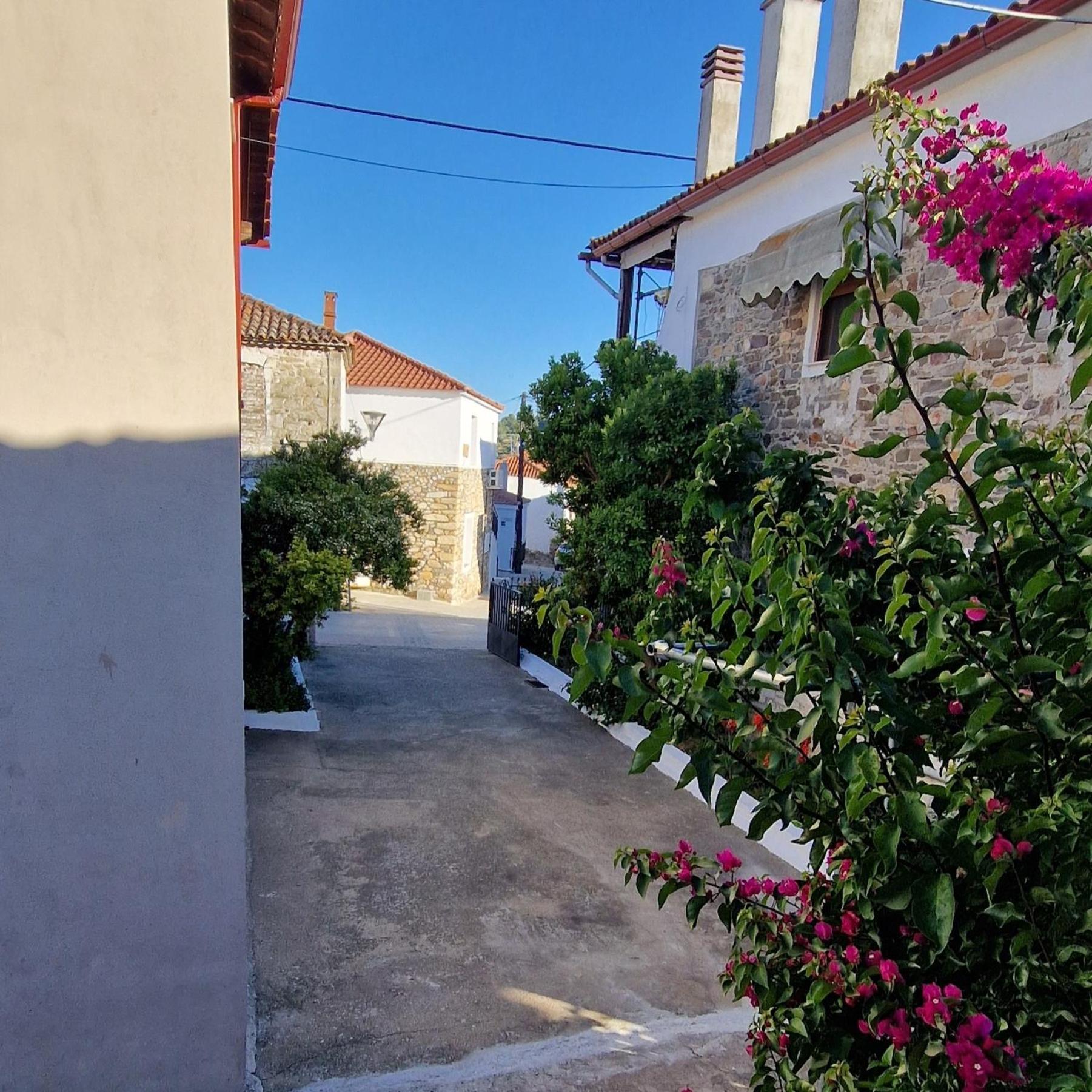 Nikolaos House Apartment Áyios Nikólaos Ngoại thất bức ảnh