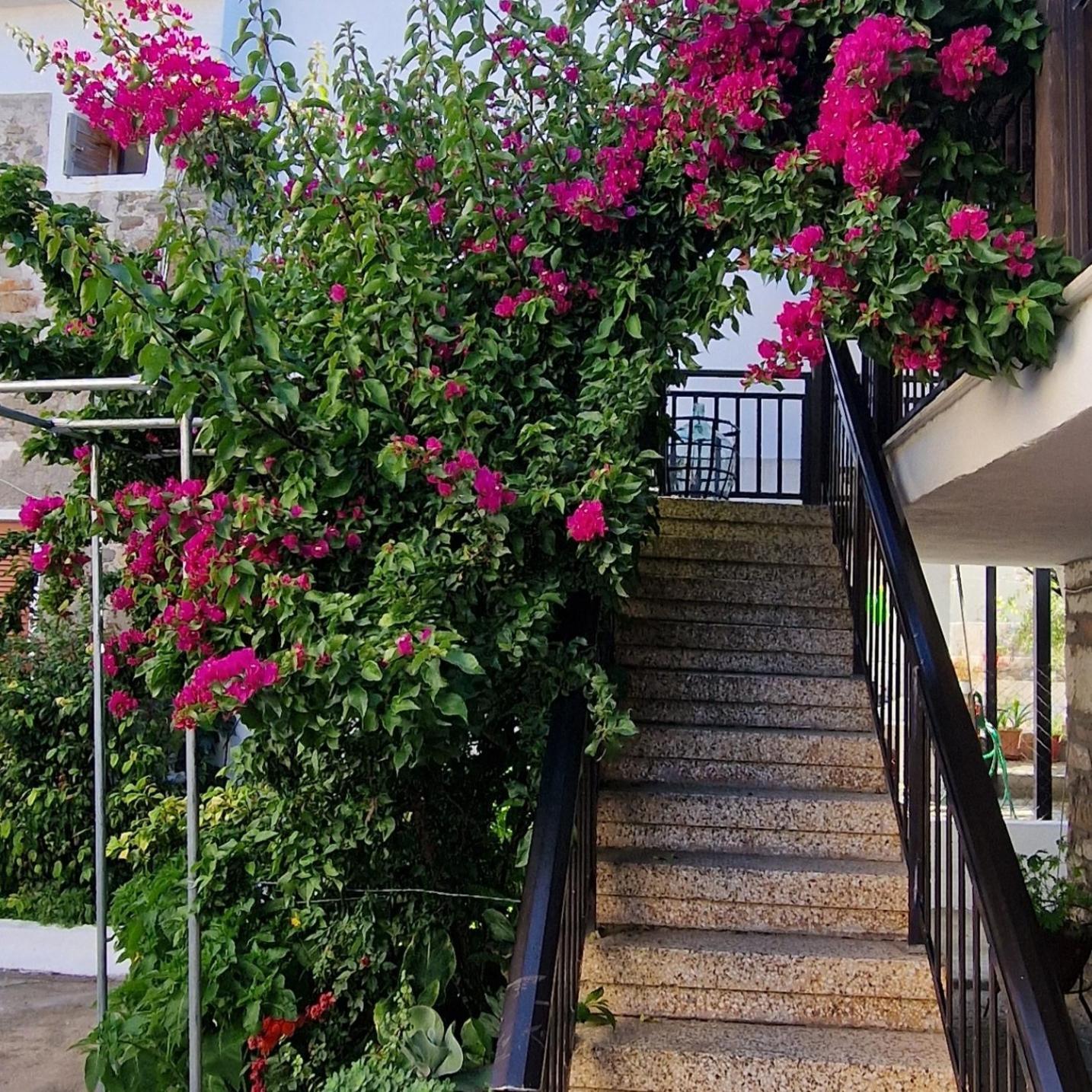 Nikolaos House Apartment Áyios Nikólaos Ngoại thất bức ảnh